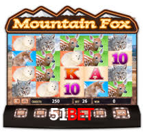 Tournaments 51bet